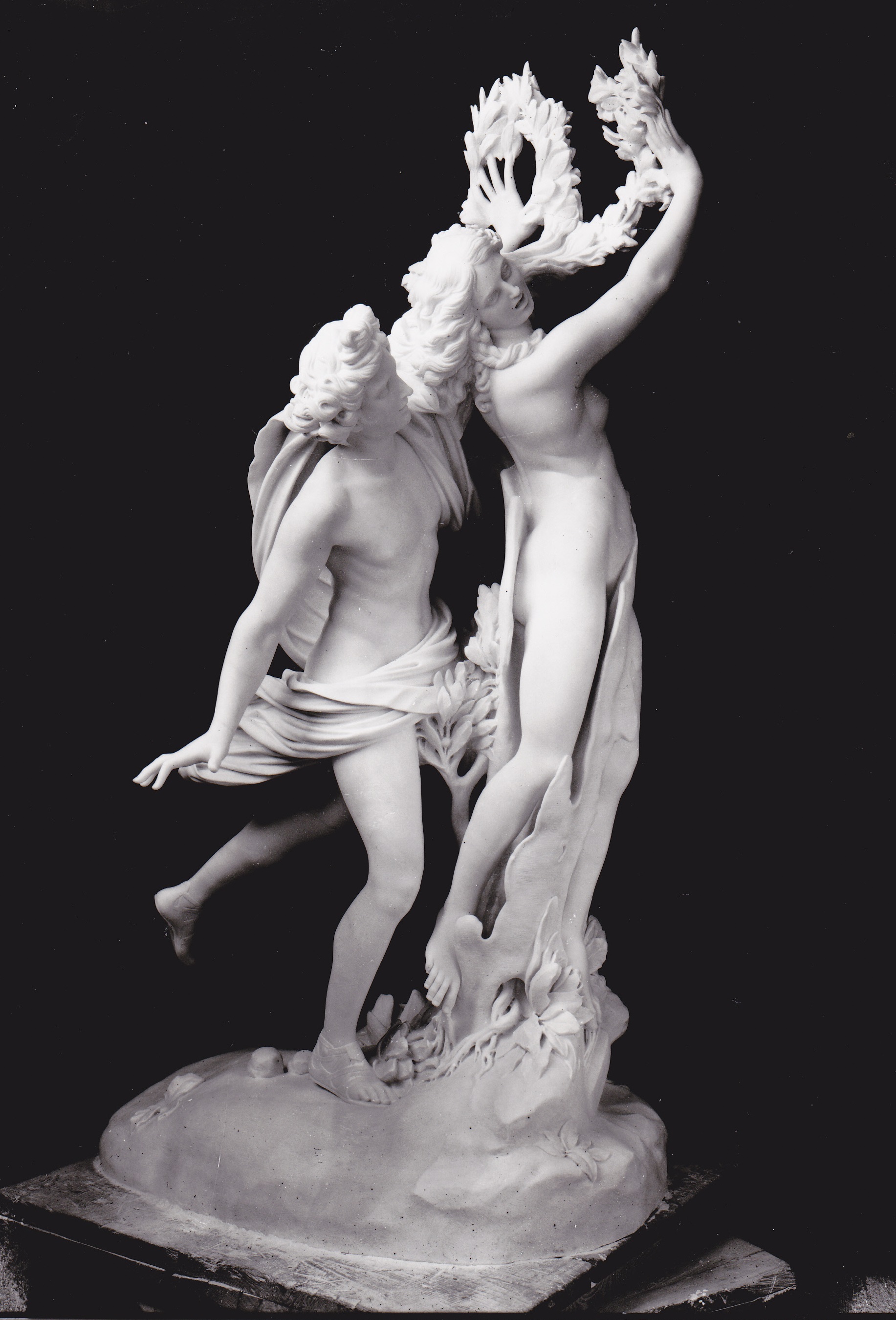 Apollo & Dafne h. 222 cm